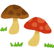 きのこ